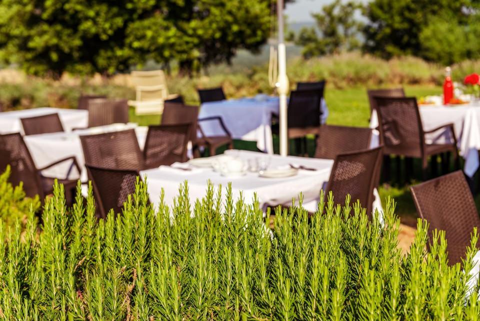 Agriturismo & Cantina Tenuta Casteani Ribolla Exteriér fotografie