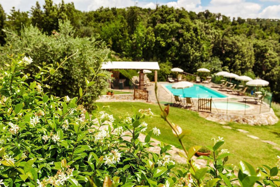 Agriturismo & Cantina Tenuta Casteani Ribolla Exteriér fotografie