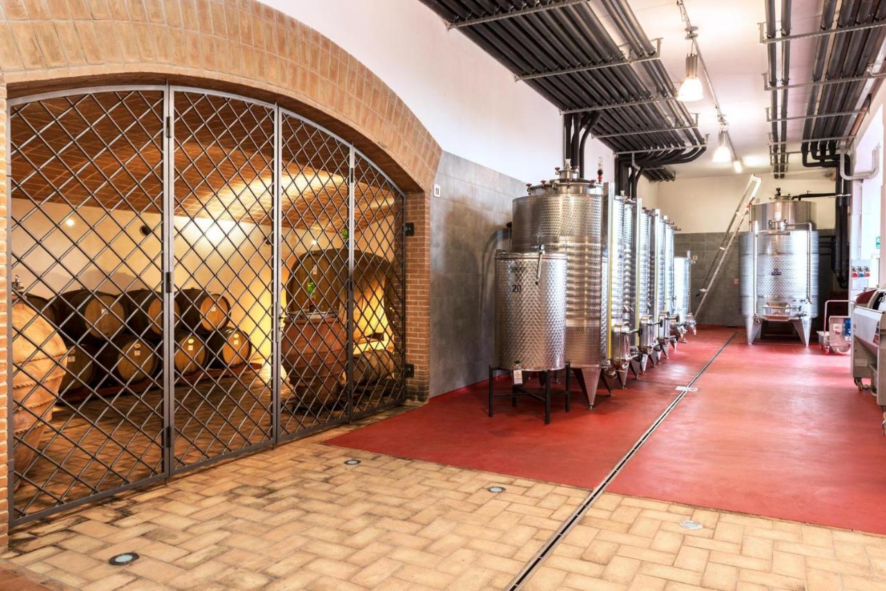 Agriturismo & Cantina Tenuta Casteani Ribolla Exteriér fotografie